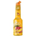 Set 4 x Pulpa Mango 100% Concentrat Piure Fructe Mixer 1 l