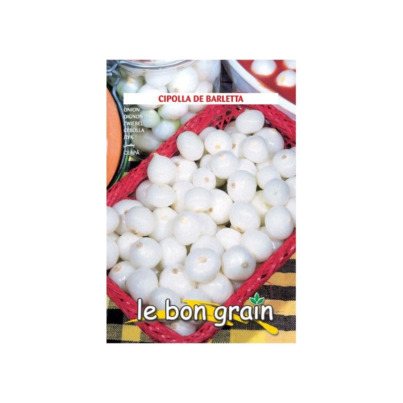 Set 4 x Seminte de Ceapa Mica si Rotunda pentru Murat, de Barletta, 3.5 g, Raci Sementi