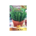 Set 4 x Seminte de Rozmarin, 0.1 g, Raci Sementi