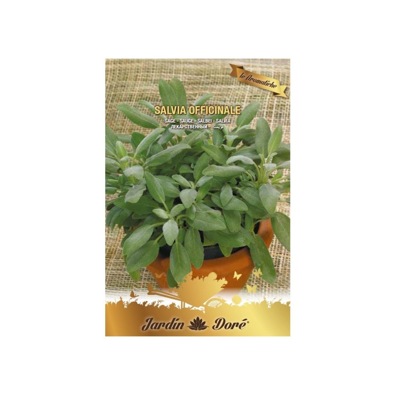 Set 4 x Seminte de Salvie, 1 g, Raci Sentimente