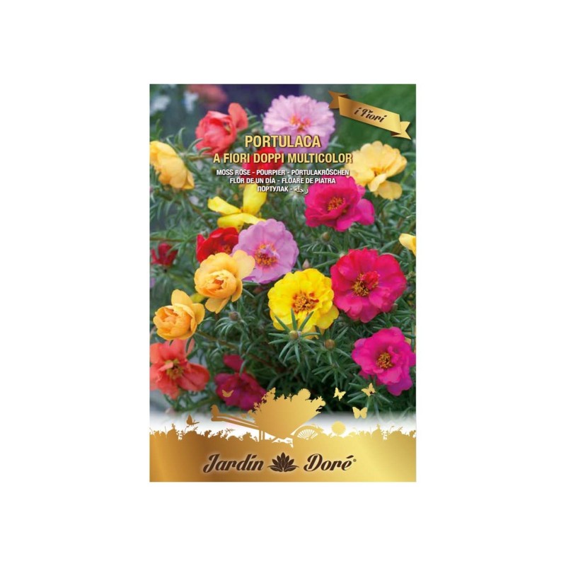 Set 4 x Seminte Flori, Floare de Piatra Batute, Amestec Multicolor,  0.5 g, Raci Sementi