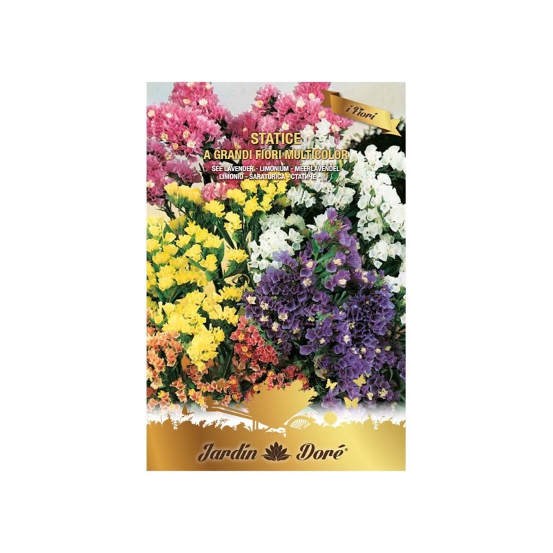 Set 4 x Seminte Flori, Saraturica, Statice Grandi Fiori, Amestec Multicolor, 0.5 g