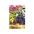 Set 4 x Seminte Flori, Saraturica, Statice Grandi Fiori, Amestec Multicolor, 0.5 g