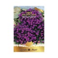 Set 4 x Seminte Lobelia Crystal Palace, 0.3 g, Raci Sementi