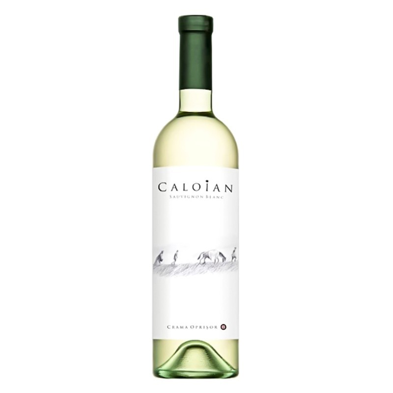 Set 4 x Vin Alb, Caloian Sauvignon Blanc, Sec, 0.75l