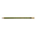 Set 5 x Creion Colorat Aquarell, Individual, Verde Olive Inchis