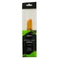 Set 5 x Pensule Pictura Acrilic, Atelier