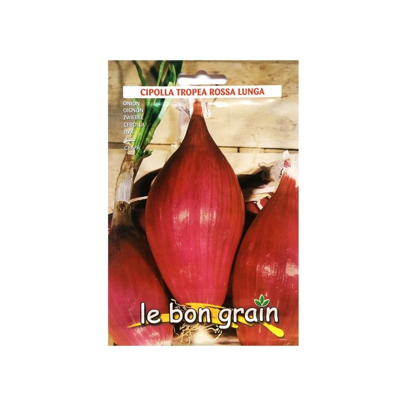 Set 5 x Seminte de Ceapa Rosie, de Apa, Tropea Rossa Lunga, 5 g, Raci Sementi