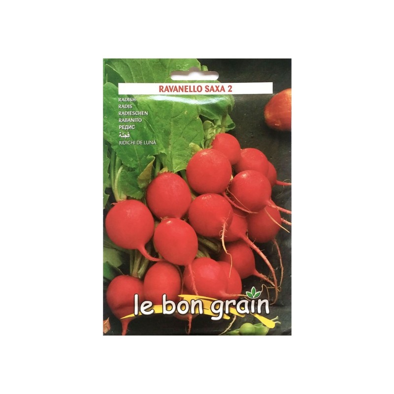 Set 5 x Seminte de Ridichi de Luna, Saxa 2, 13 g, Raci Sementi