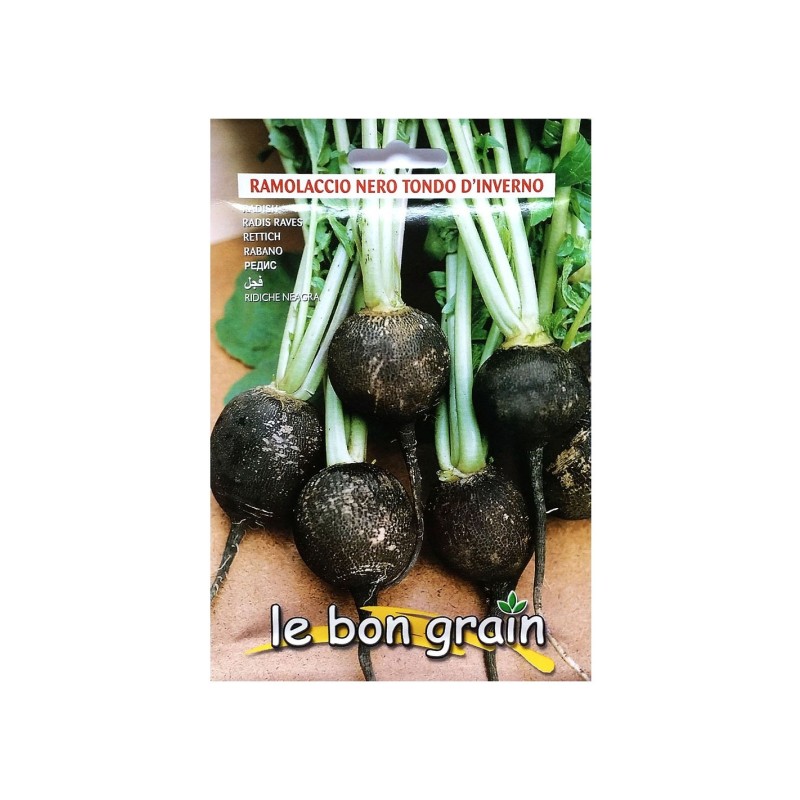 Set 5 x Seminte de Ridichi Negre de Iarna, Tondo d'Inverno, 13 g, Raci Sementi