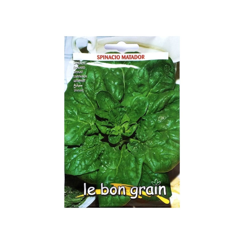 Set 5 x Seminte de Spanac, Matador, 30 g, Raci Sementi