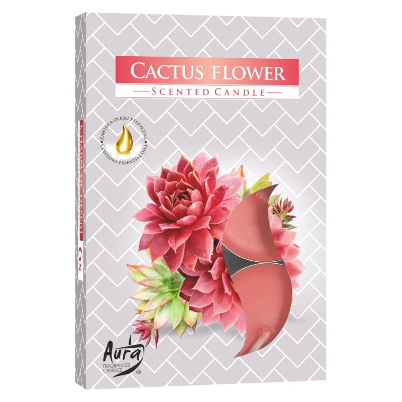 Set 6 x 6 Lumanari Pastila, 4 Ore, Floare de Cactus