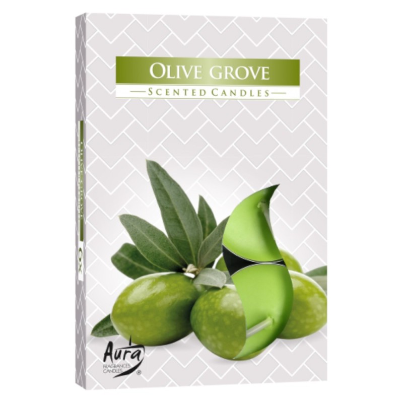 Set 6 x 6 Lumanari Pastila, 4 Ore, Masline Verzi