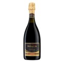 Set 7 x Vin Spumant Rosu Lambrusco IGT Emilia Donelli, 0.75 l