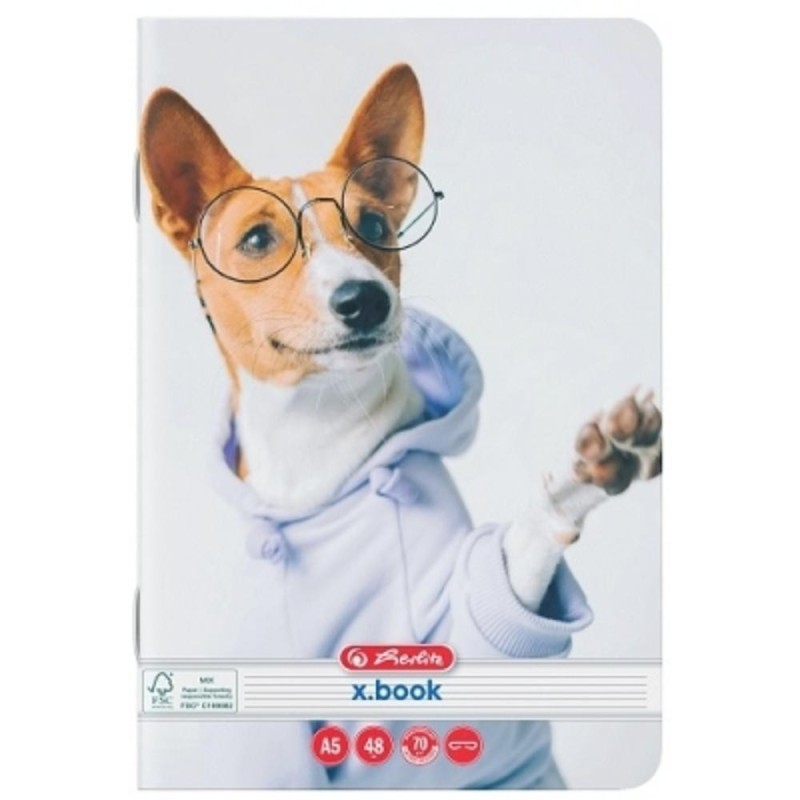 Set 80 x Caiet A5, 48 File, Dictando, Cool Dog