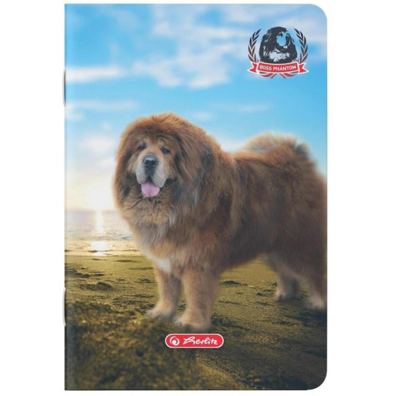 Set 80 x Caiet A5, 48 File, Dictando, Motiv Boss Phantom