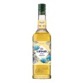 Sirop Agave Giffard 0.7 l