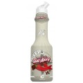 Sirop Bar “mixology Line” Hot Spicy Mixer 0.75 litri