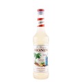 Sirop Monin Falernum, 70 cl