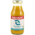 Smoothie refresh Bio cu Ananas si Ghimbir, 240ml Rabenhorst