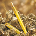 Stilou Classic M200 EF Editie Speciala Pyrite si Calimara Pyrite 50 ml, Cutie Cadou, Herlitz