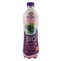Suc BIO de Coacaze Negre, 500 ml, Hollinger