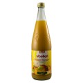 Suc Bio de Mere si Mango, 0.7 l Voelkel