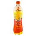 Suc BIO de Portocale, 500 ml, Hollinger