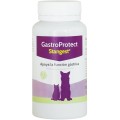 Supliment pentru Caini si Pisici Gastroprotect, Stangest 30 Tablete