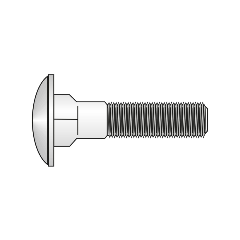 Surub Torbant fara Piulita 603 Inox A2-M10 X 70