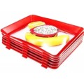 Tava pentru Pastrarea Prospetimii Alimentelor, 31 x 24 cm, Perfect Home