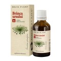 Tinctura de Branca Ursului, 50 ml, Dacia Plant