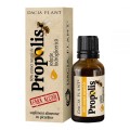 Tinctura Propolis fara Alcool cu Picurator 20 ml Dacia Plant