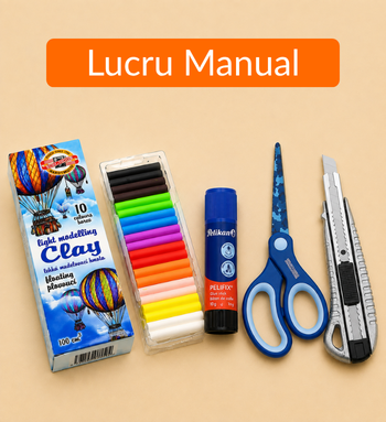 Lucru Manual
