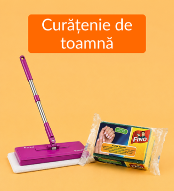 Curatenie de Toamna