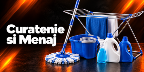 Curatenie si Menaj