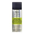 Vernis Universal Lucios Winsor Newton