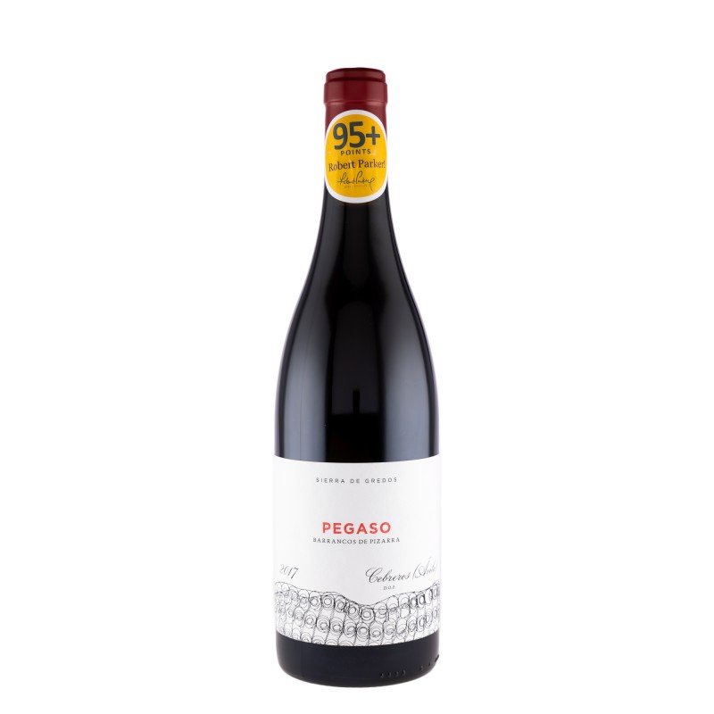 Vin Telmo Rodriguez Pegaso Pizarra, Rosu Sec, 0.75 l