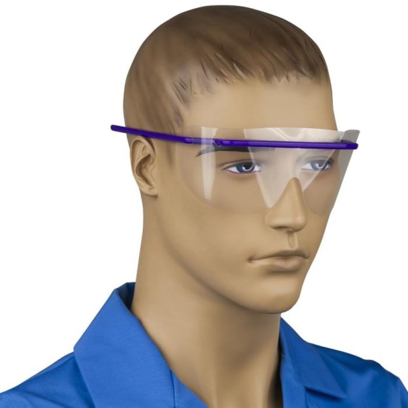 Viziere pentru Protectie Ochi Prima, Rama si Ecran, Mov, 22 x 6.8 cm, 5 Seturi